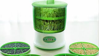 Automatic Bean Sprout Machine 2020 [upl. by Enerahs]