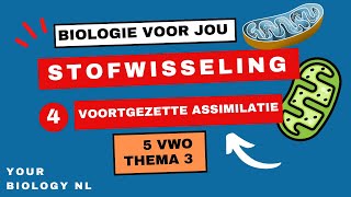 5 vwo  Stofwisseling  4  Voortgezette assimilatie amp vouwing van eiwitten [upl. by Dreyer]