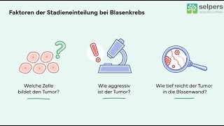 Welche Stadien gibt es bei Blasenkrebs Experte informiert [upl. by Hammer203]