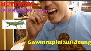 INSEKTEN ESSEN MUTPROBE  GEWINNSPIEL Auflösung [upl. by Aniraad901]