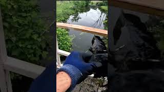 CHUNKSOMETAL Magnet Fishing at Eldridge Park in Elmira New York Chemung County Dumping Ground [upl. by Anastasius258]