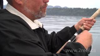 Fishing for Coho and Springs in Sooke BC with underwater video [upl. by Matthia]