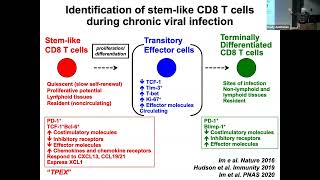 Yale Cancer Center Distinguished Lecture Series  October 8 2024 [upl. by Leith]