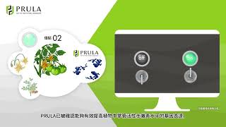 PRULA Product Introduction 台湾 [upl. by Meuse799]