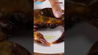 Kepiting Berganti Cangkang [upl. by Carmena]