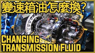 如何動手更換變速箱油？10 Min Automatic Transmission Fluid Change [upl. by Elleb]