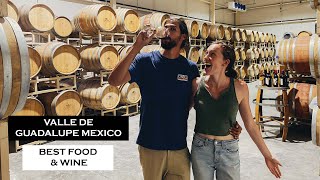 3 Great Valle de Guadalupe Wineries  Favorite Food amp Wine Tastings [upl. by Melitta]