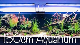 Wohnzimmer Aquarium die Erste aquaristik [upl. by Gadmon350]