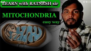 MITOCHONDRIA  What is MITOCHONDRIA  science mitochondria part 2 [upl. by Chadwick965]