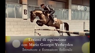 Cavallo in equilibrio limportanza delle transizioni [upl. by Muhammad]