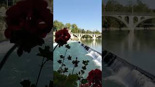 Marvelous Bremgarten 🇨🇭 Switzerland switzerland swissnature shortvideo swissbeautiful shorts [upl. by Adolf]