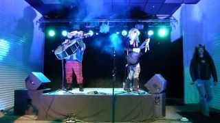 Metalachi  Here I Go Again  Live 2013  HD [upl. by Altheta589]