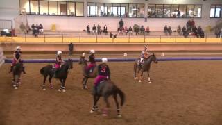 HORSEBALL  COPPA ITALIA 2016 [upl. by Baylor845]