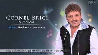 Cornel Brici  Cu mustata mincinoasa new Version HIT [upl. by Harri413]