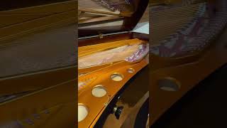 Bosendorfer 280VC Concert Grand Piano [upl. by Nylidnarb]