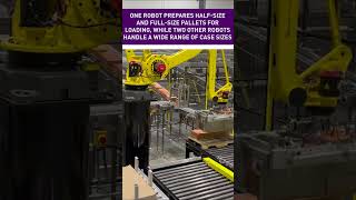 Robotic sorting and palletizing in lowtemperature environments shorts automation robotics fanuc [upl. by Spindell]