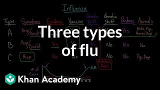 Three types of flu  Infectious diseases  Health amp Medicine  Khan Academy [upl. by Pain]