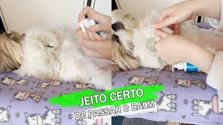 O JEITO CORRETO DE PASSAR O BALM DA ANIMAL BALANCE [upl. by Buine]