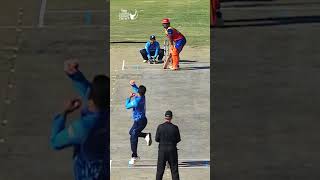 Immaculate bowling from southern bowlers in the powerplay 🤌 Legends League Cricket 2024 [upl. by Adnimra]