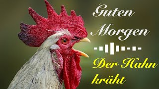 Guten Morgen 🌅 – Der Hahn kräht 🐓🎶 [upl. by Dryden172]