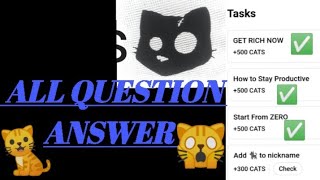 Cats Get Rich now  Cats How to stay productive  Get start zero  All questions answers [upl. by Fina]