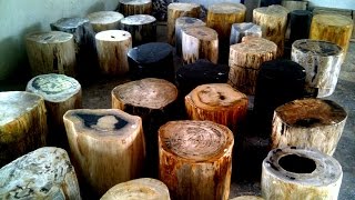 Petrified Wood Prices [upl. by Anil93]