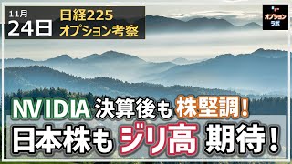 【日経225オプション考察】1124 NVIDIA決算後も株堅調！ 日本株もジリ高が期待できそう！ [upl. by Boak]