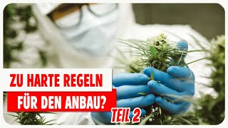 Legal Cannabis anbauen  Was erwartet Unternehmer 22 [upl. by Elicul]