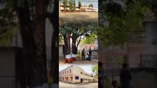 sardar sk pawar high school  Nagardeola school sardarskPawarhighschool nagardeola [upl. by Nolyk]