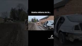 dc automobile poland fishing ebike mtb troutfishing ptasznik trout mushroom [upl. by Enileme]