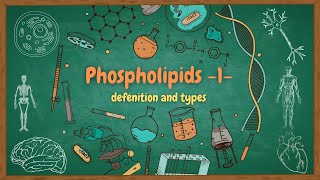 lipids 9 Phospholipids types glycerophospholipids amp sphingolipids  الدهون الفوسفورية بالعربي [upl. by Meras]