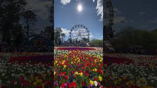 Floriade in Canberra ACT Australia canberra australia [upl. by Josefa]