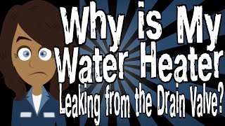 Why is My Water Heater Leaking from the Drain Valve [upl. by Eniffit]