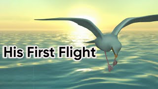 His First Flight Class 10 animation in English Two Stories About Flying Part1 animated video [upl. by Ben]