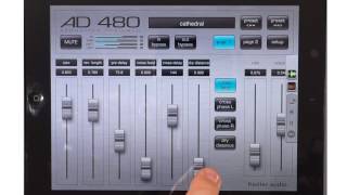 AD 480 Reverb  Parameters [upl. by Aciret837]