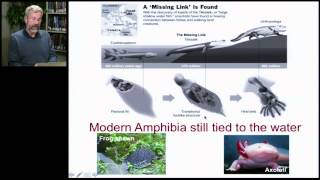 Biology 1001  Animal Evolution 3 [upl. by Zelazny]