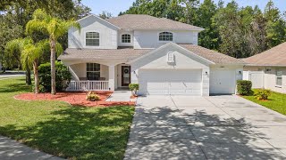 15908 Leatherleaf Ln Land O Lakes FL [upl. by Hogle]