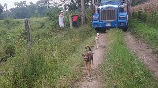 carreteras colombianas trochas [upl. by Ayanaj]