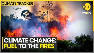 Brazil Venezuela Bolivia see surging wildfire emissions EU monitor  WION Climate Tracker [upl. by Nevak633]