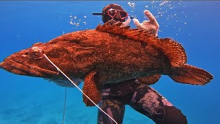 IKAN KERAPU BESAR DI BAWAH TEBING SPEARFISHING BIG GROUPERS [upl. by Fair]