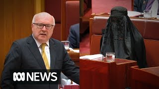 George Brandis slams Pauline Hanson for wearing a burka to Senate Question Time 2017  ABC News [upl. by Iruyas]