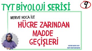 TYT BİYOLOJİ HÜCRE ZARINDAN MADDE GECİŞLERİ tyt [upl. by Cassondra]