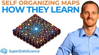 How Do Self Organizing Maps SOMs in Artificial Intelligence Learn What Makes Them So POWERFUL [upl. by Hartley]