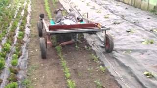 Solar powered lazy weeder [upl. by Magavern]