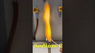 Different colours of flame 🔥 testchemistry science motivation trending [upl. by Goddord605]