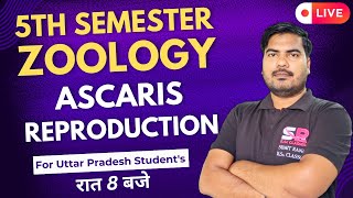 Lt16 Reproduction In Ascaris  5th Semester Zoology Paper  01  Sumit Rana Sir [upl. by Cortie615]