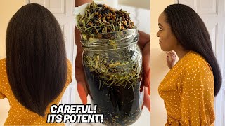 The Most Powerful Hair Growth Oil  Caution‼️It’s Super Potent [upl. by Tarra]