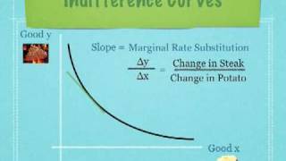 Introduction to Indifference Curves and Budget Lines Economics [upl. by Callista]