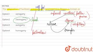 The adaptation of facilitate autogamy in chasmogamous flowers is known as [upl. by Todhunter470]