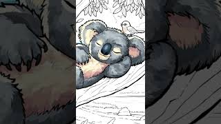 colouring koalabears australia [upl. by Renraw]